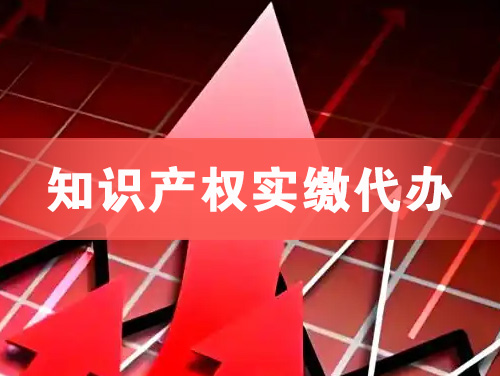 六安知识产权实缴资本代办